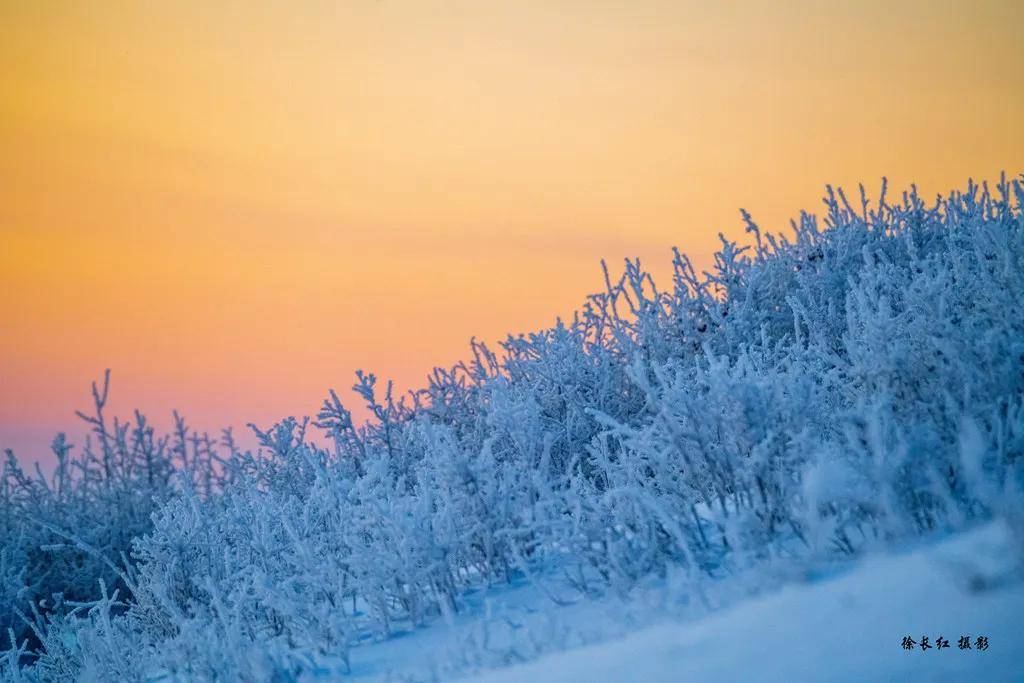 國際旅游攝影網(wǎng)2026年國內(nèi)外攝影路線全景指南