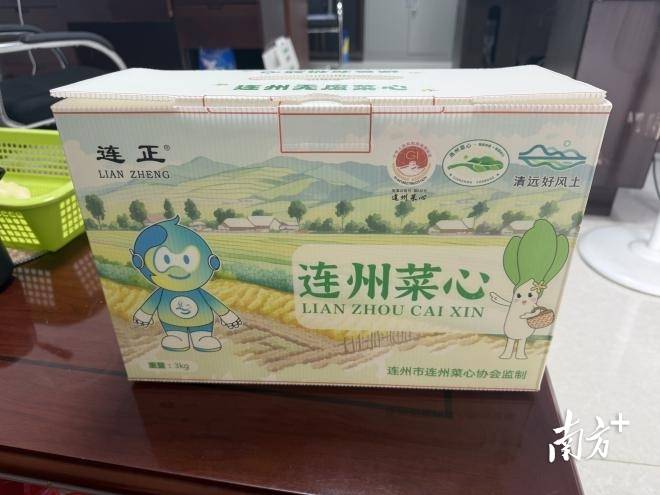 田間裝上“智慧腦”，連州菜心長(zhǎng)出科技“芯”