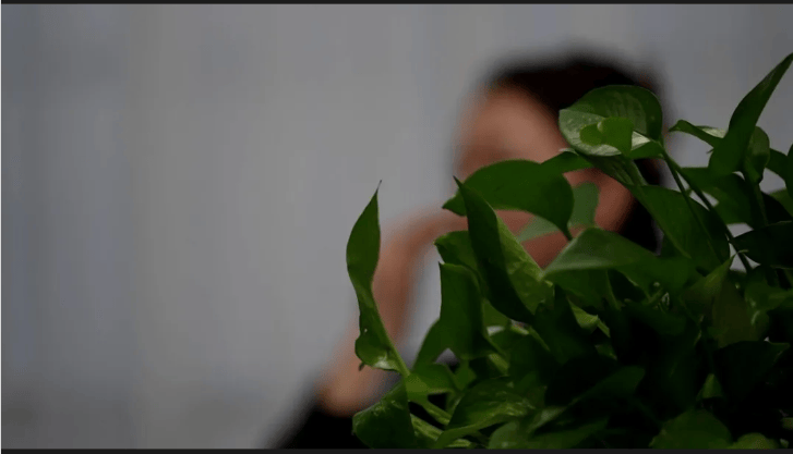 “飛行員男友”竟是廚師！一人分飾三角，百名女性受騙