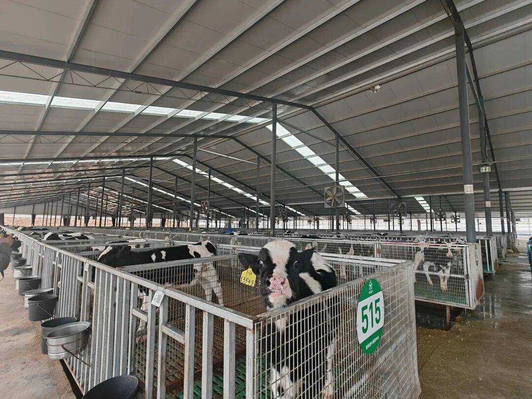 【科技特派員】牛興福：以智慧養(yǎng)殖賦能鄉(xiāng)村振興