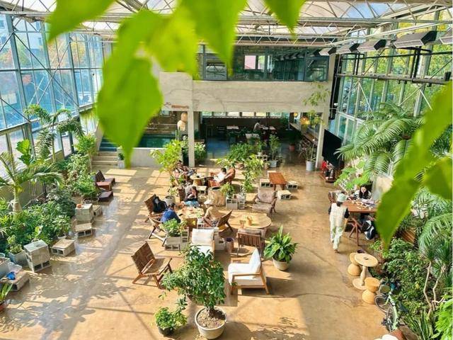 北京號最精彩 | 收藏！20個春節(jié)來京城必逛的廟會游園會來了