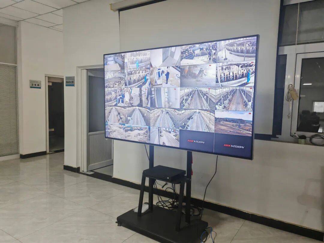 【科技特派員】牛興福：以智慧養(yǎng)殖賦能鄉(xiāng)村振興