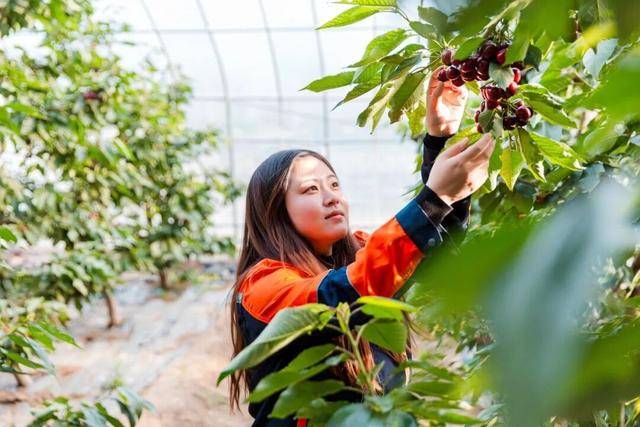 巾幗綻芳華！看順義女性的智慧與力量