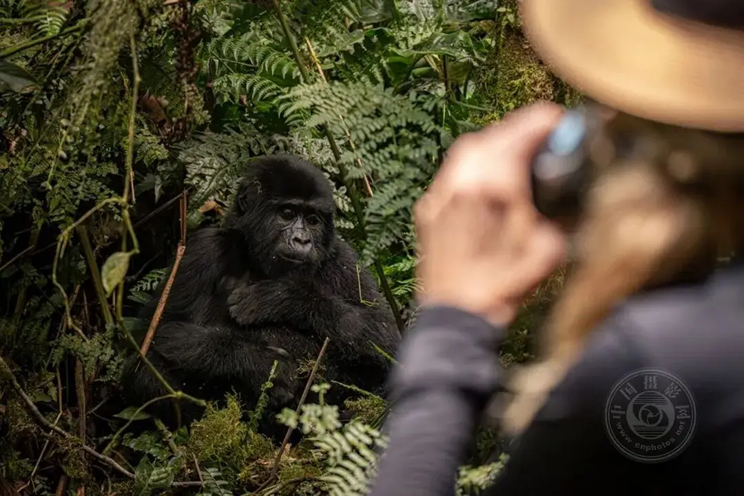 揭曉 | 2025年度全球旅游攝影大賽獲獎(jiǎng)作品公布（上）