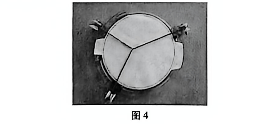 【物理教學(xué)】AI賦能的中學(xué)物理