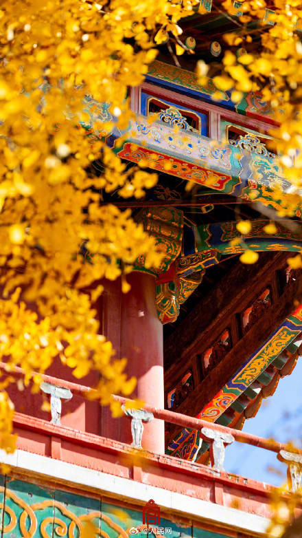 轉(zhuǎn)發(fā)收藏！故宮收藏了一整年的詩意