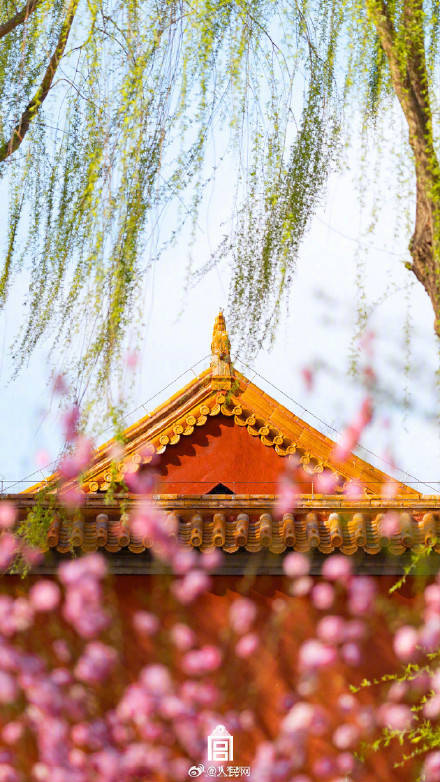 轉(zhuǎn)發(fā)收藏！故宮收藏了一整年的詩意