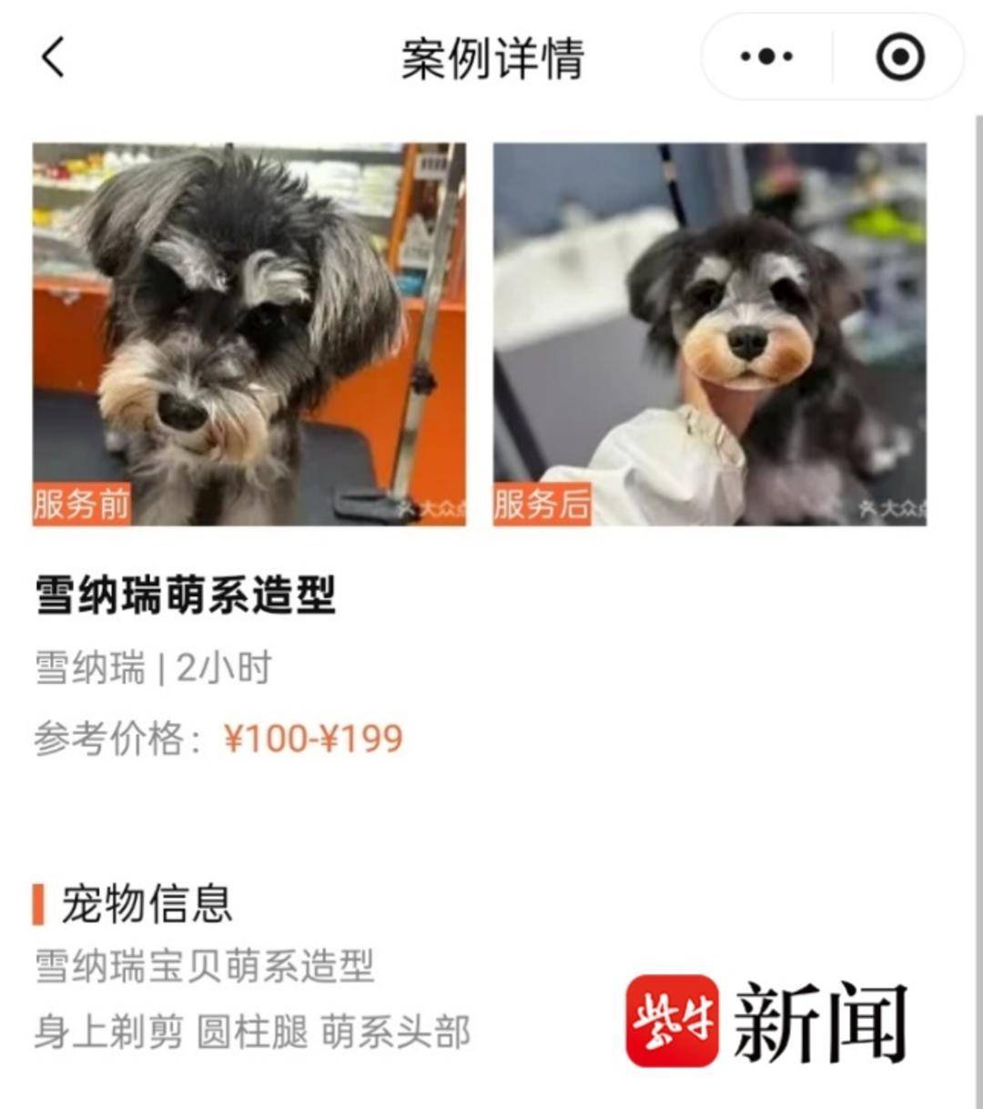 節(jié)前寵物美容需求量激增，美容師預(yù)約單已排至除夕夜