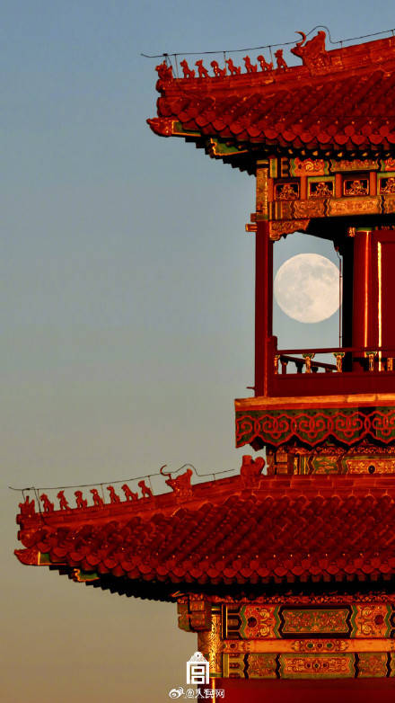 轉(zhuǎn)發(fā)收藏！故宮收藏了一整年的詩意