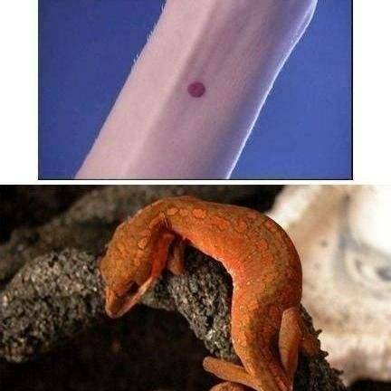 慈寧宮里的奇怪雕刻：陵墓才會有的雕刻，竟出現(xiàn)在慈寧宮