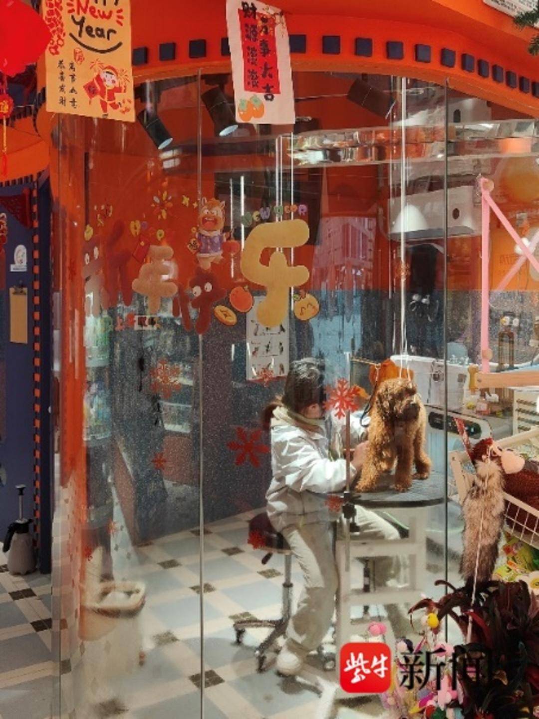 節(jié)前寵物美容需求量激增，美容師預(yù)約單已排至除夕夜