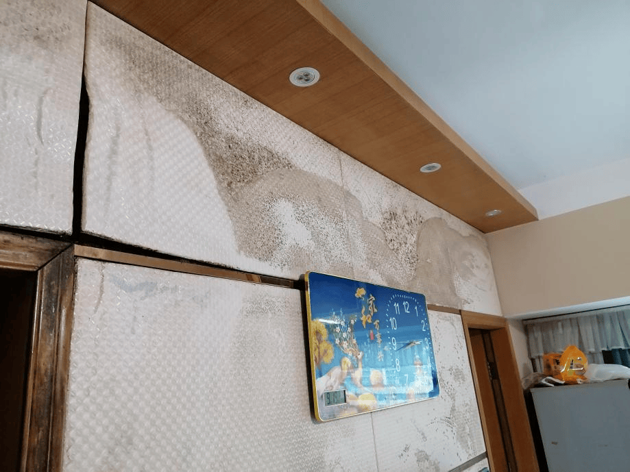 鄰里漏水爭執(zhí)不休！深圳法官出招：讓他倆組隊裝修