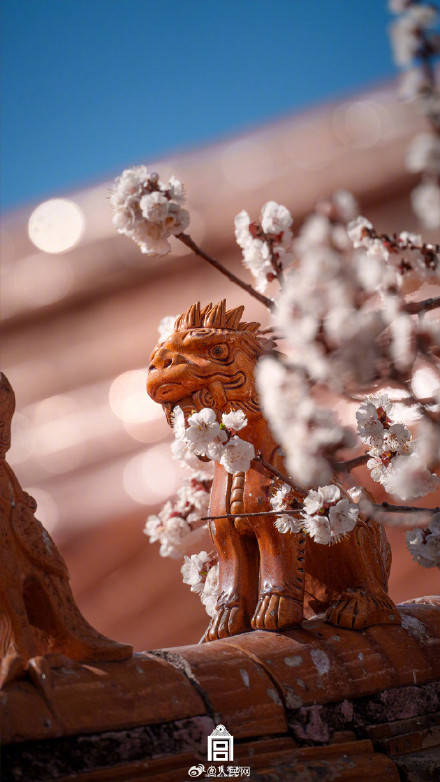 轉(zhuǎn)發(fā)收藏！故宮收藏了一整年的詩(shī)意