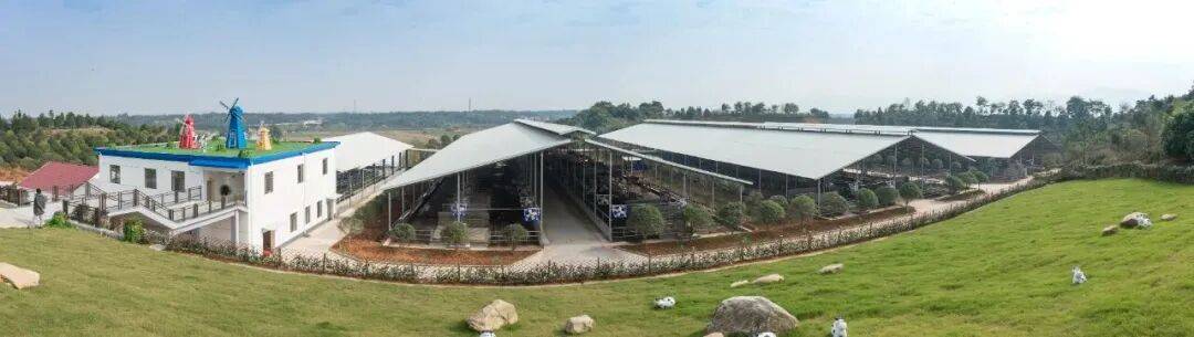 快放假了，美食公司都買些什么好吃年貨回家？