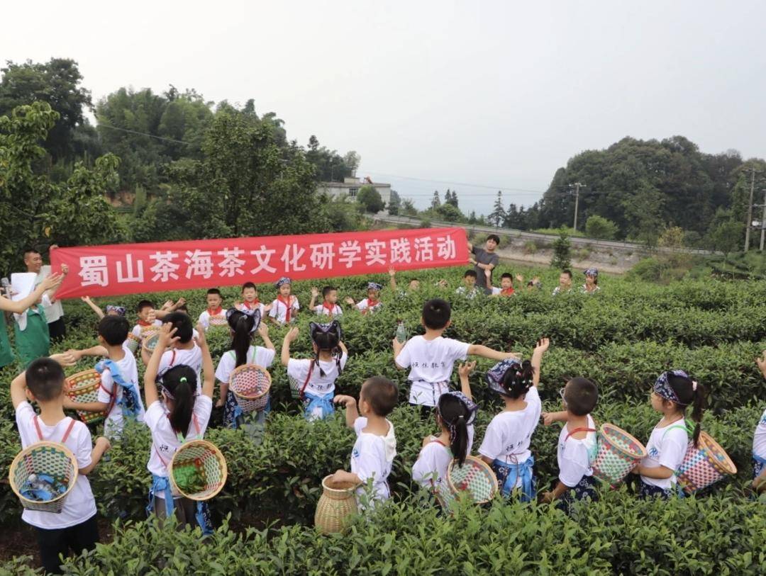 尋味春晚！四川宜賓高縣發(fā)布5條精品旅游線路，解鎖春日文旅新體驗(yàn)