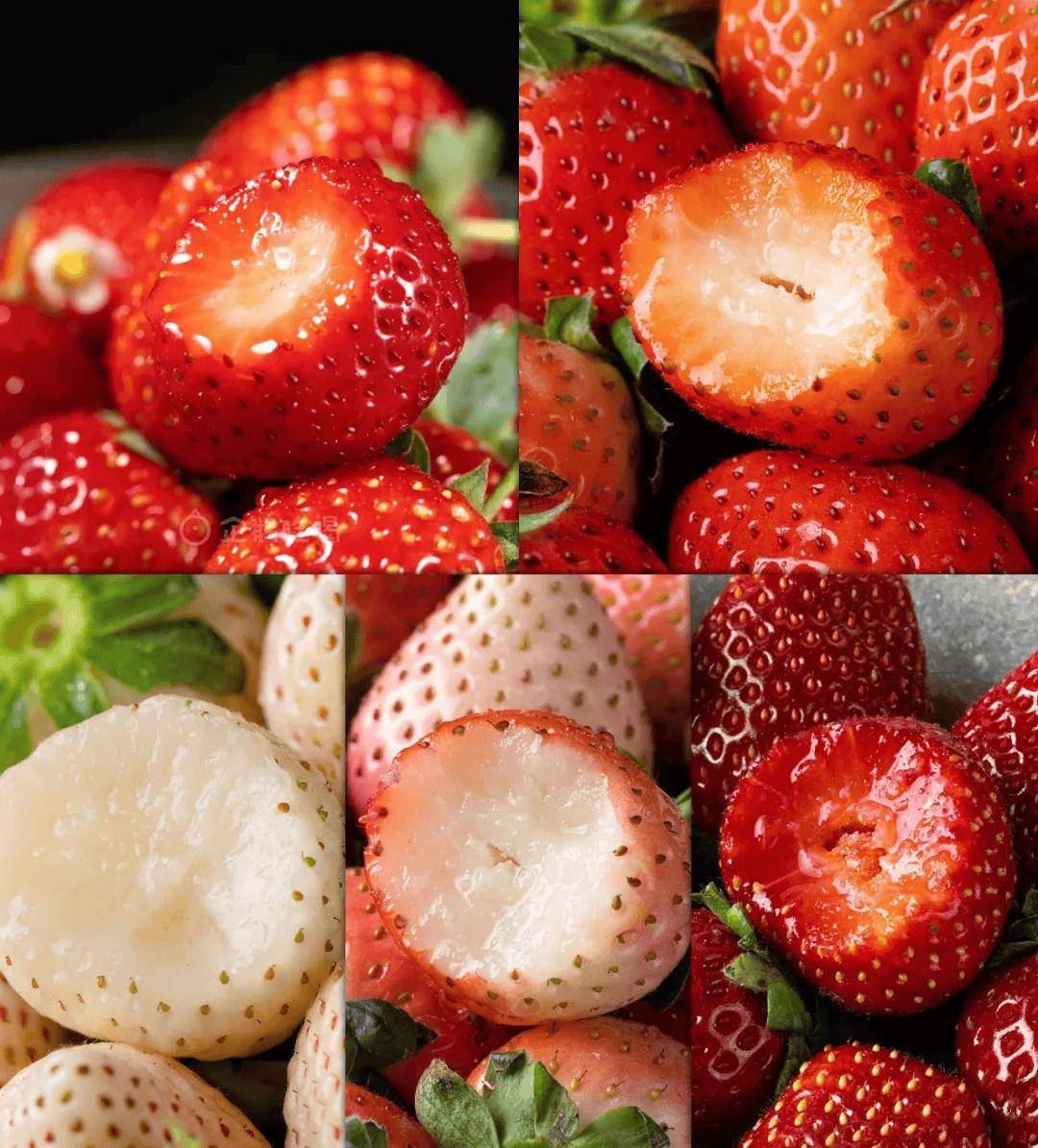 快放假了，美食公司都買些什么好吃年貨回家？