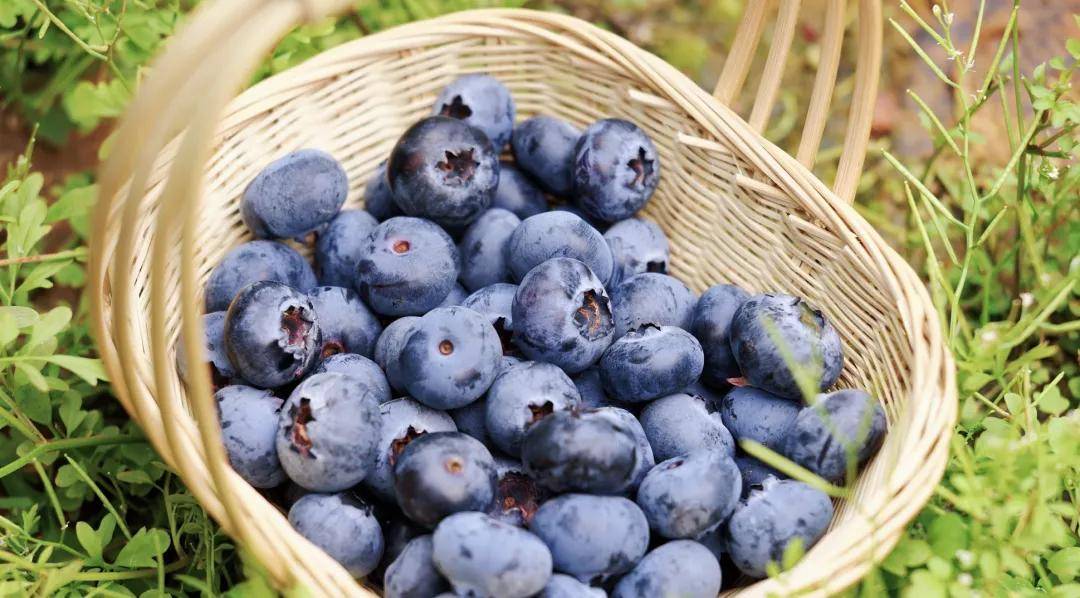 快放假了，美食公司都買些什么好吃年貨回家？