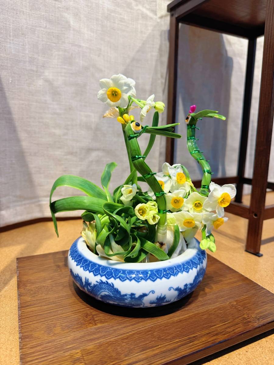 上海共青森林公園新春水仙展開幕，市民水仙雕刻大賽同步啟動