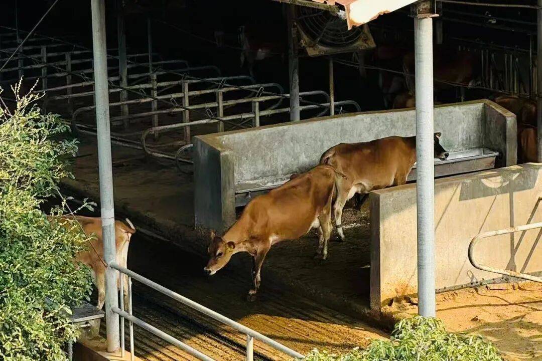 快放假了，美食公司都買些什么好吃年貨回家？