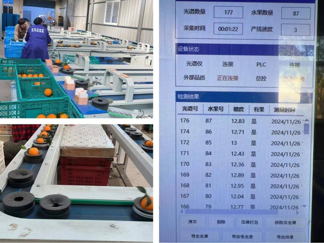 快放假了，美食公司都買些什么好吃年貨回家？