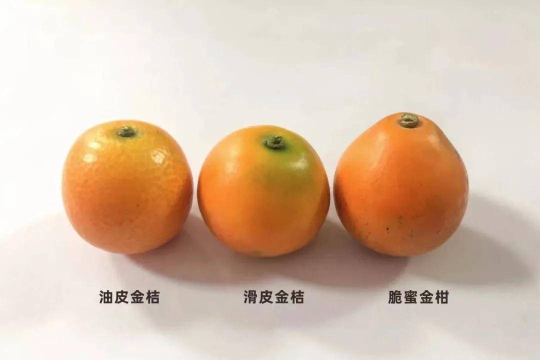 快放假了，美食公司都買些什么好吃年貨回家？