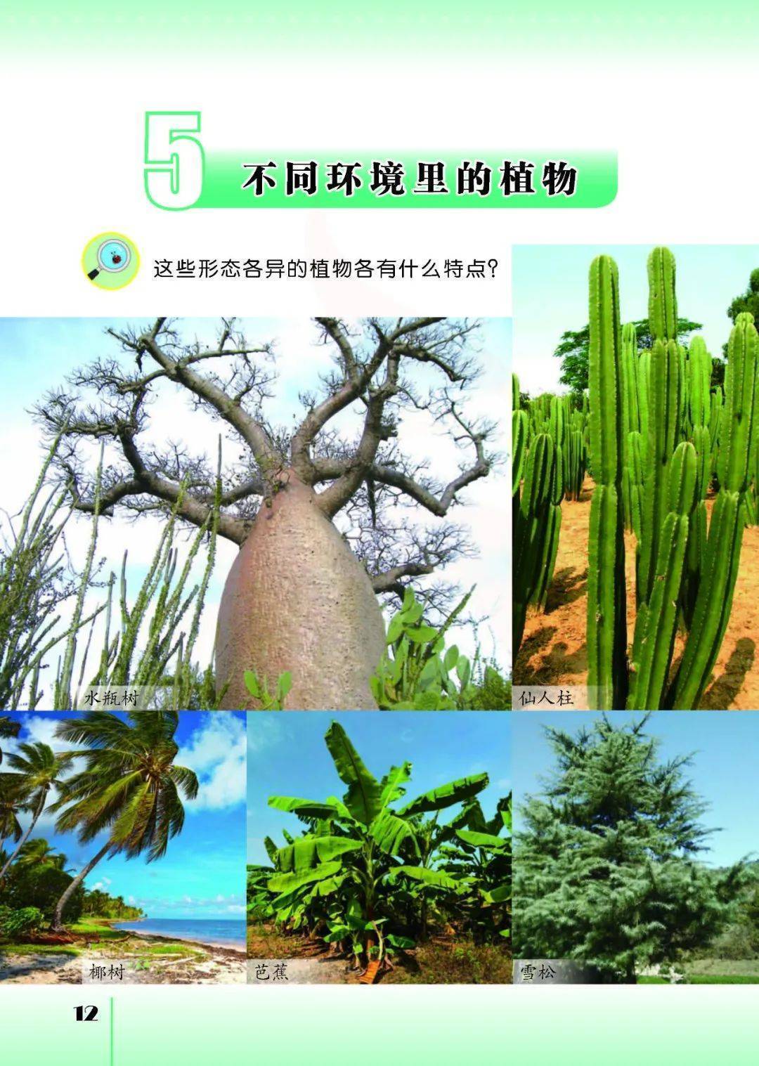 2026蘇教版五年級(jí)科學(xué)下冊(cè)電子課本(PDF高清版新教材)