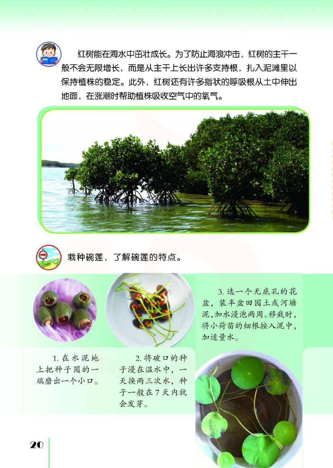 2026蘇教版五年級(jí)科學(xué)下冊(cè)電子課本(PDF高清版新教材)