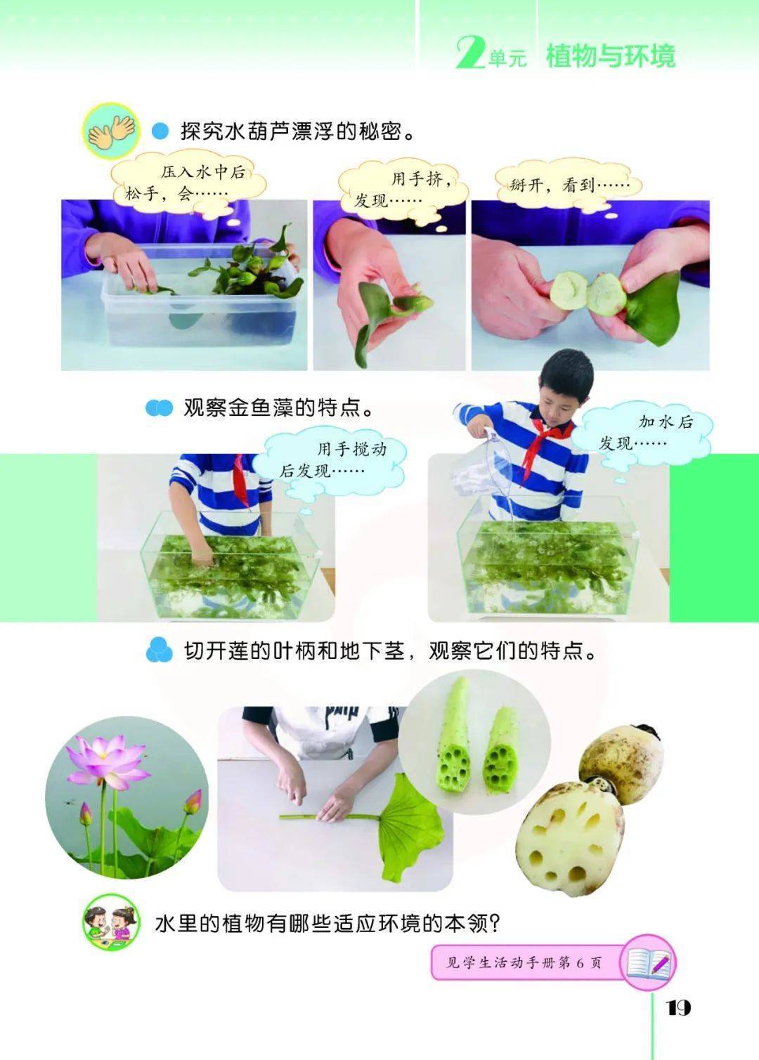 2026蘇教版五年級(jí)科學(xué)下冊(cè)電子課本(PDF高清版新教材)