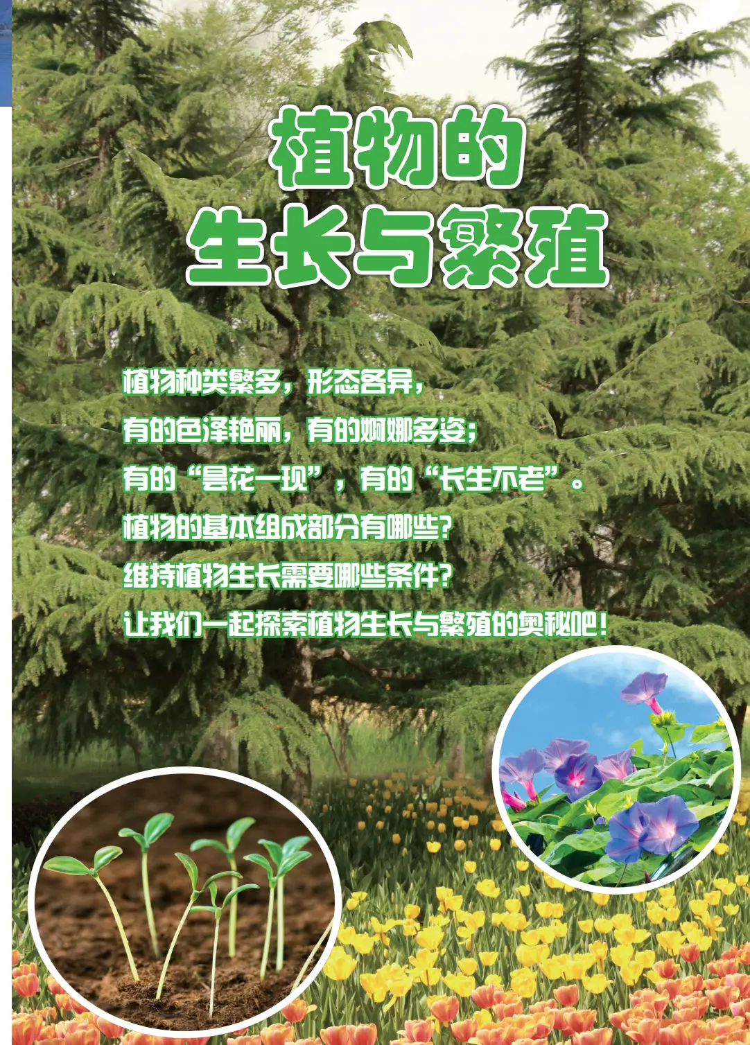 2026冀人版四年級(jí)科學(xué)下冊(cè)電子課本(PDF高清版新教材)