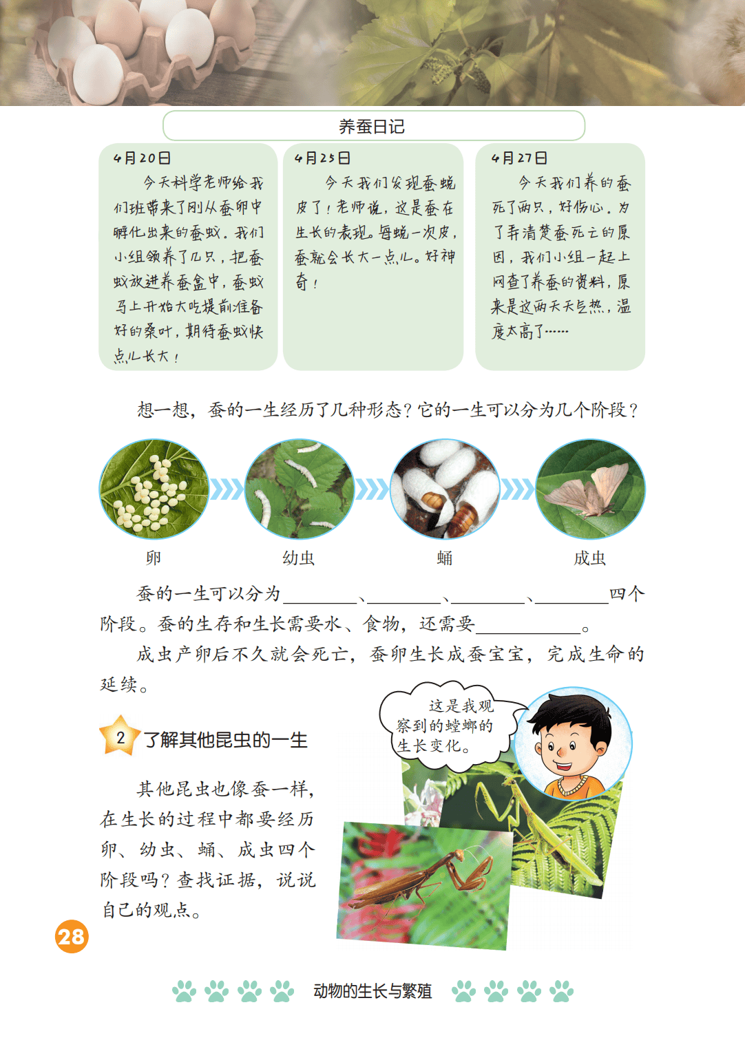 2026冀人版四年級(jí)科學(xué)下冊(cè)電子課本(PDF高清版新教材)