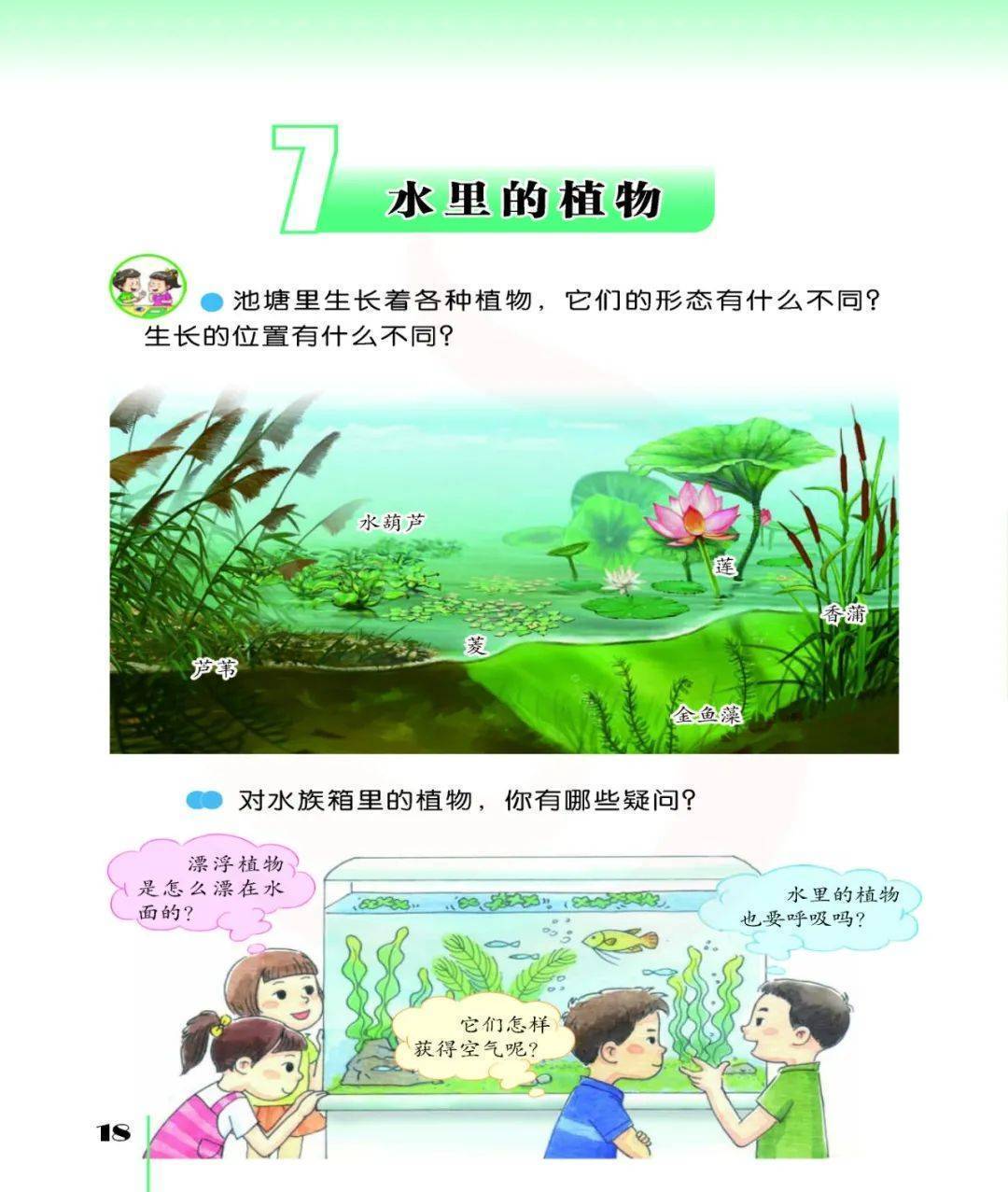 2026蘇教版五年級(jí)科學(xué)下冊(cè)電子課本(PDF高清版新教材)