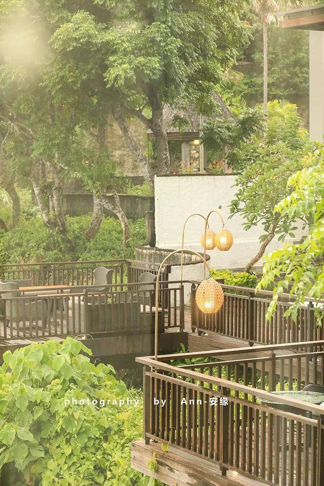 【巴厘島】：“獅王”出手，引爆“王炸美食酒店”！性價比極高！