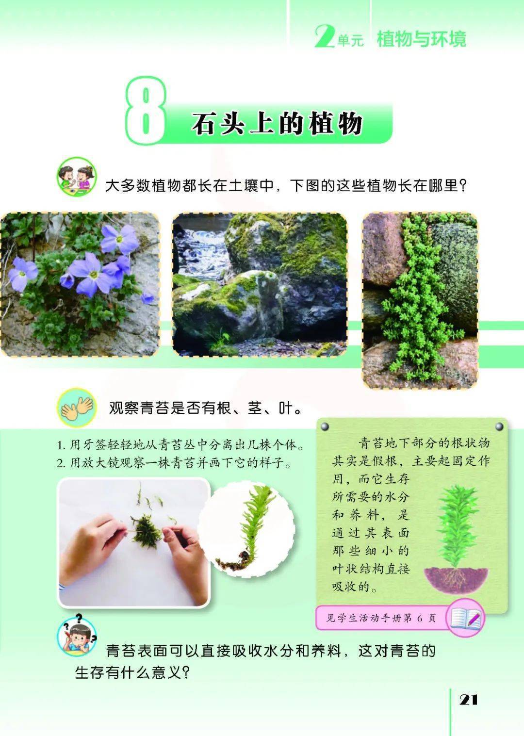 2026蘇教版五年級(jí)科學(xué)下冊(cè)電子課本(PDF高清版新教材)