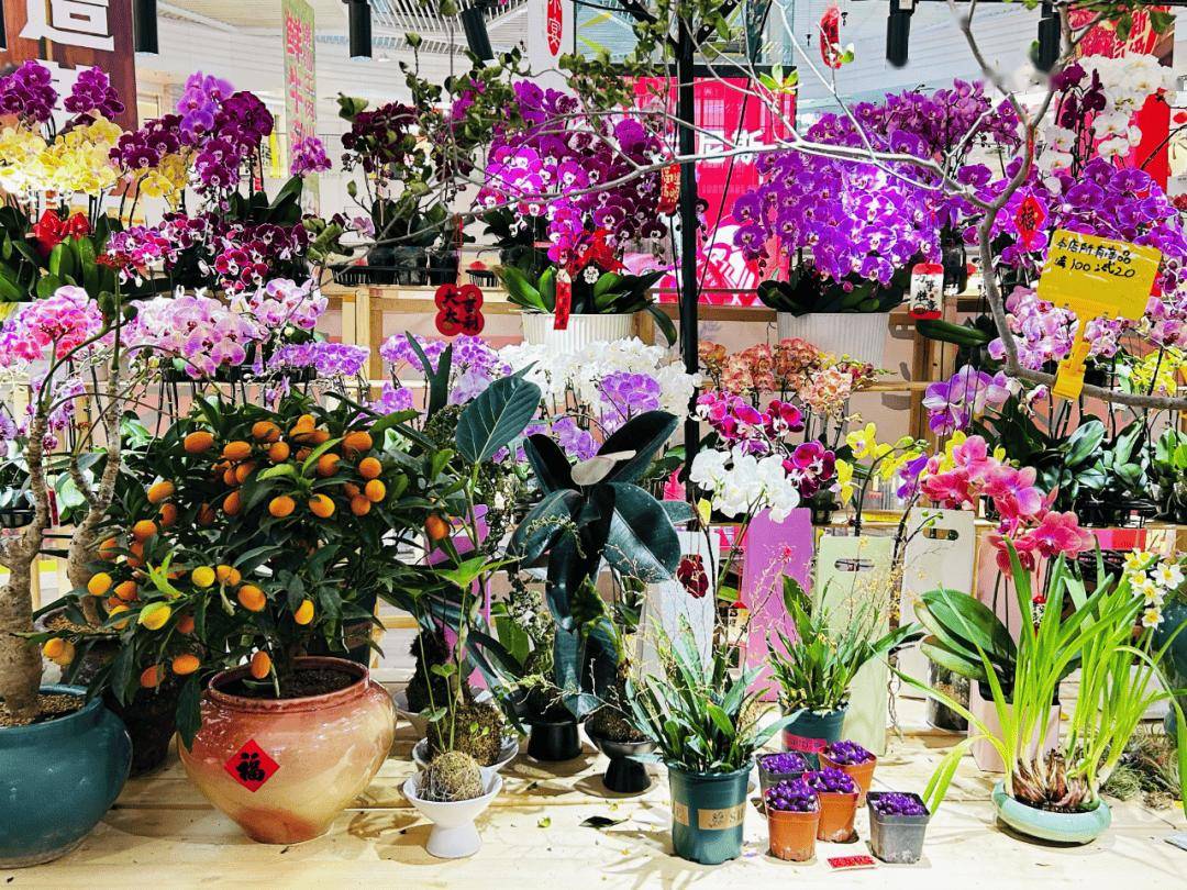 收藏！2026北京各大商圈春節(jié)活動(dòng)匯總來(lái)了