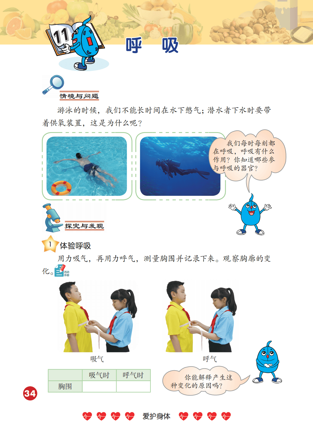 2026冀人版四年級(jí)科學(xué)下冊(cè)電子課本(PDF高清版新教材)
