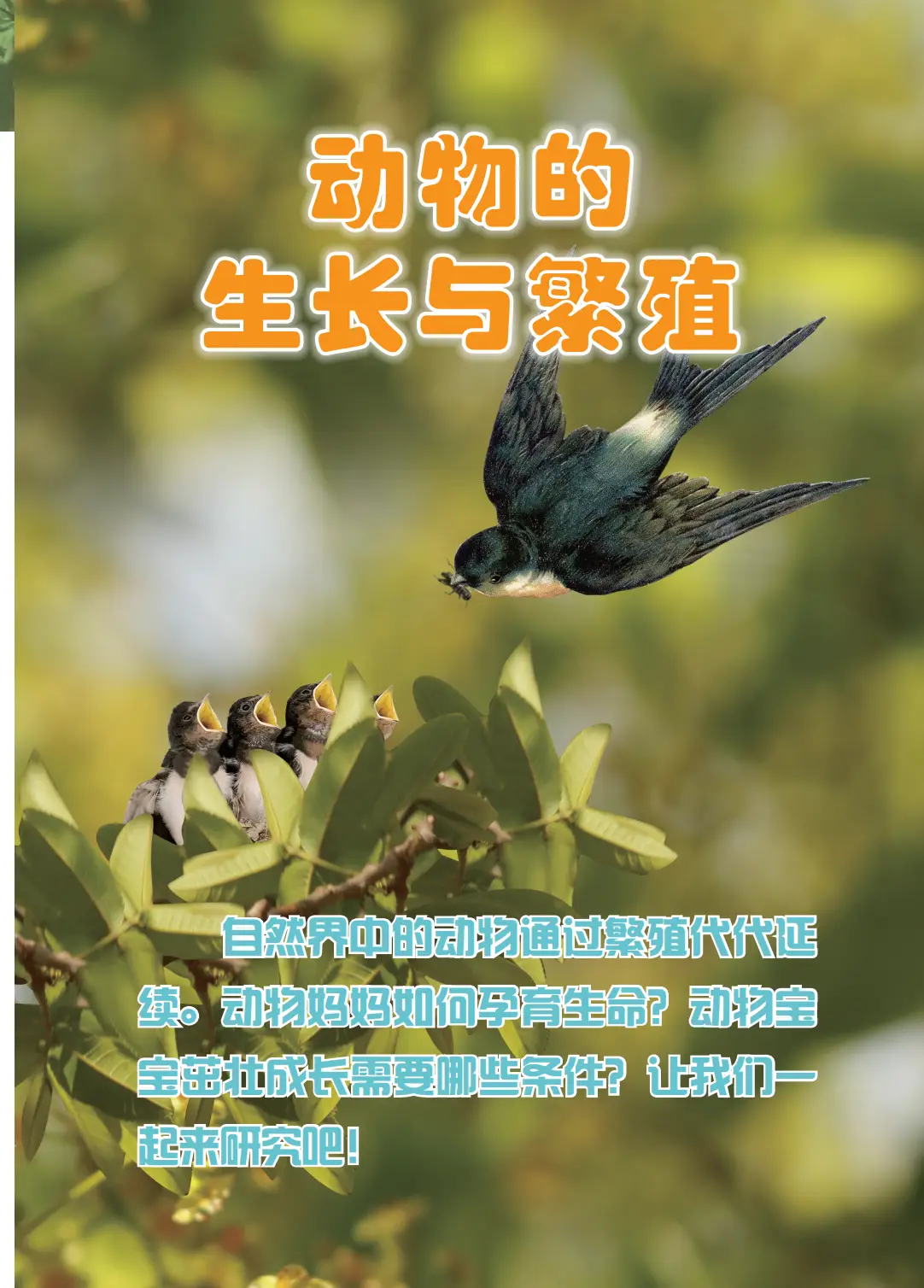 2026冀人版四年級(jí)科學(xué)下冊(cè)電子課本(PDF高清版新教材)