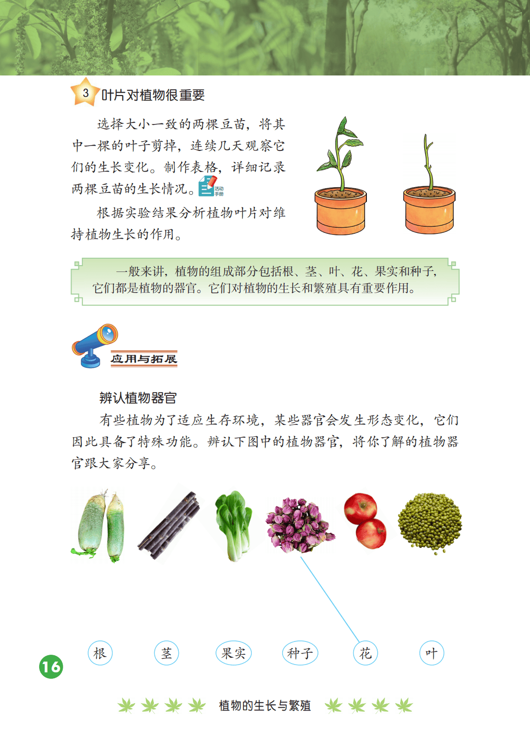 2026冀人版四年級(jí)科學(xué)下冊(cè)電子課本(PDF高清版新教材)
