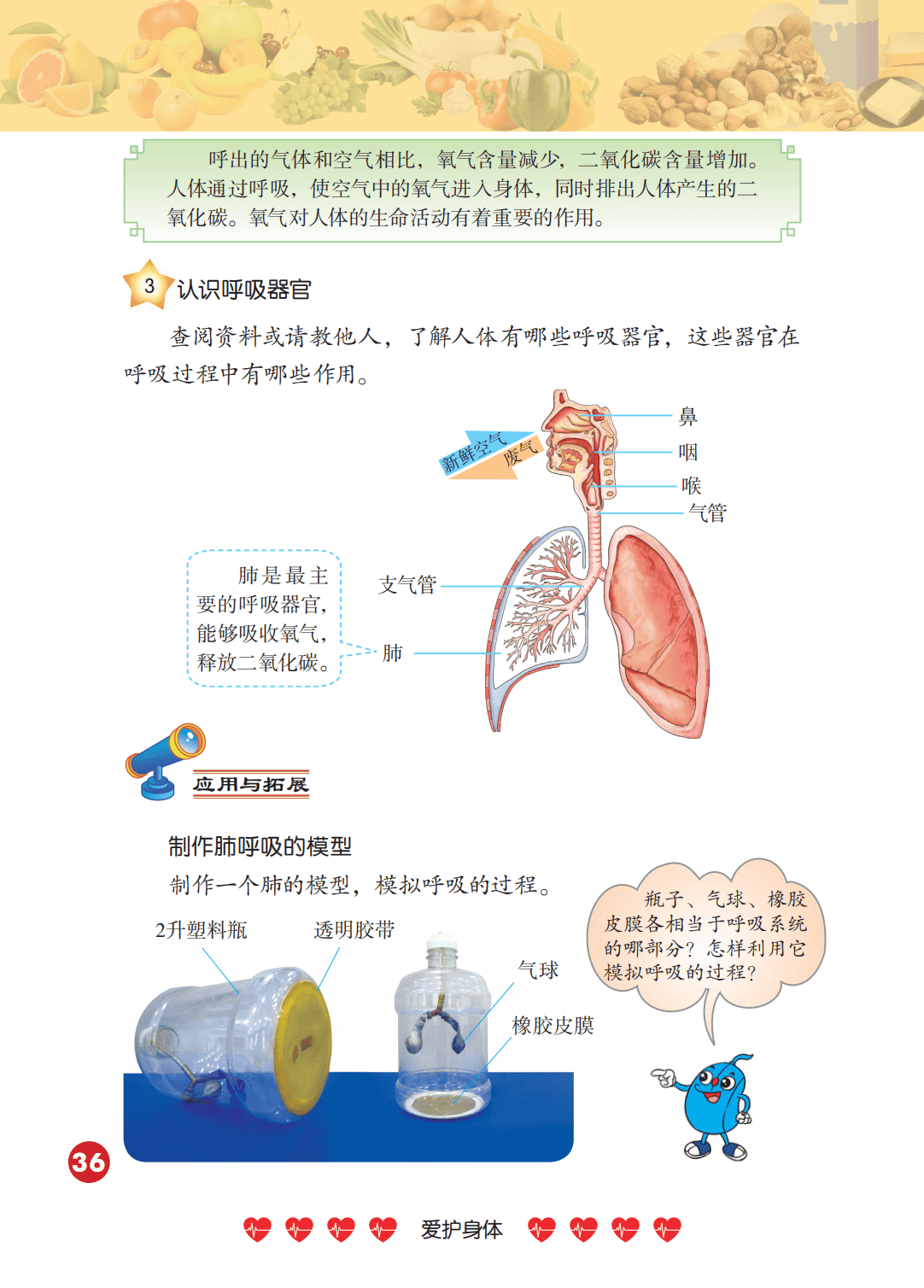 2026冀人版四年級(jí)科學(xué)下冊(cè)電子課本(PDF高清版新教材)