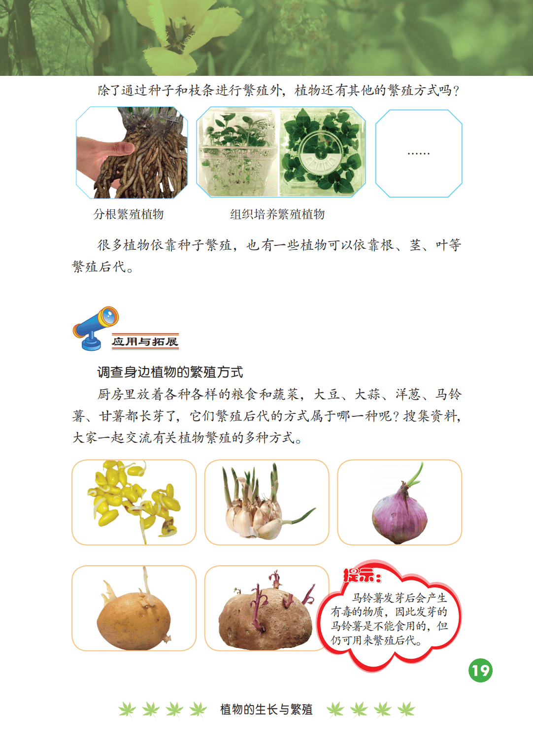 2026冀人版四年級(jí)科學(xué)下冊(cè)電子課本(PDF高清版新教材)