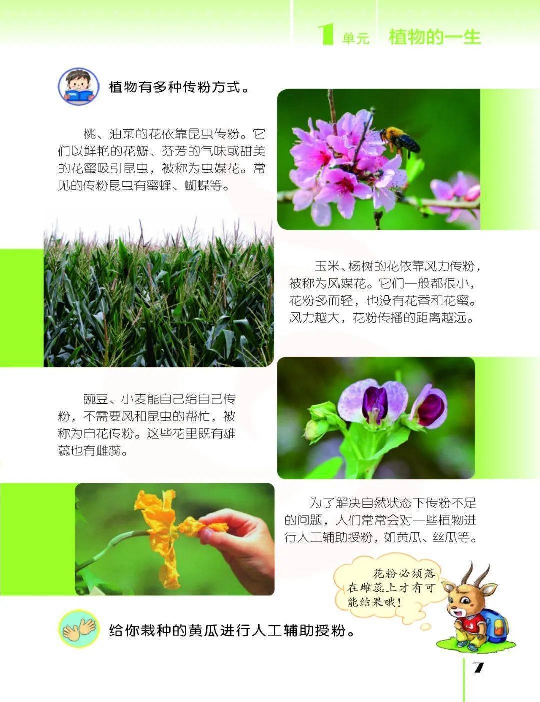 2026蘇教版五年級(jí)科學(xué)下冊(cè)電子課本(PDF高清版新教材)