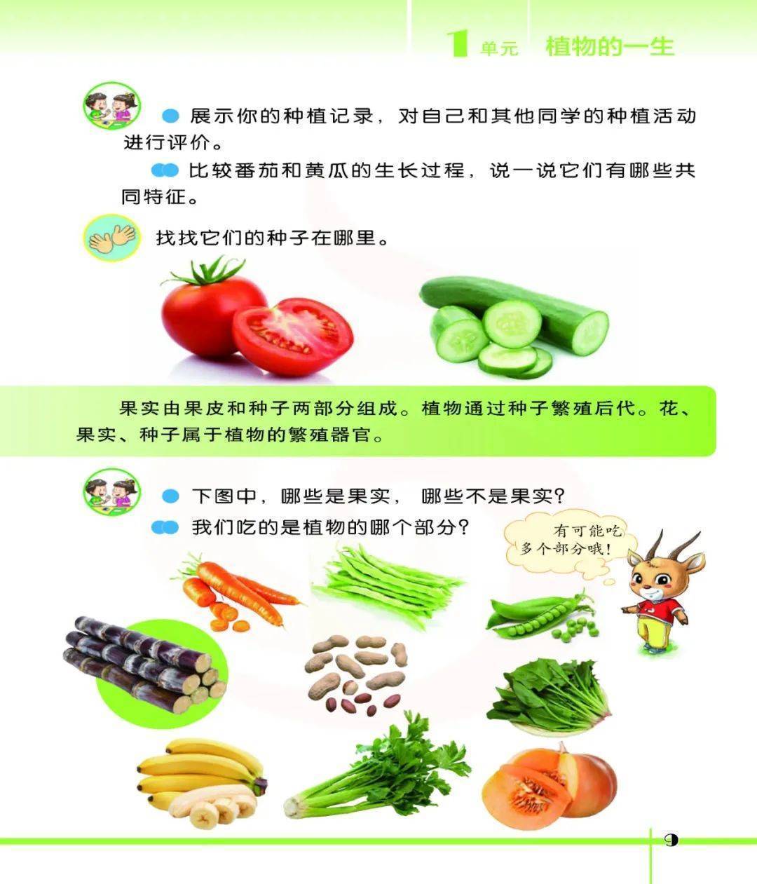 2026蘇教版五年級(jí)科學(xué)下冊(cè)電子課本(PDF高清版新教材)