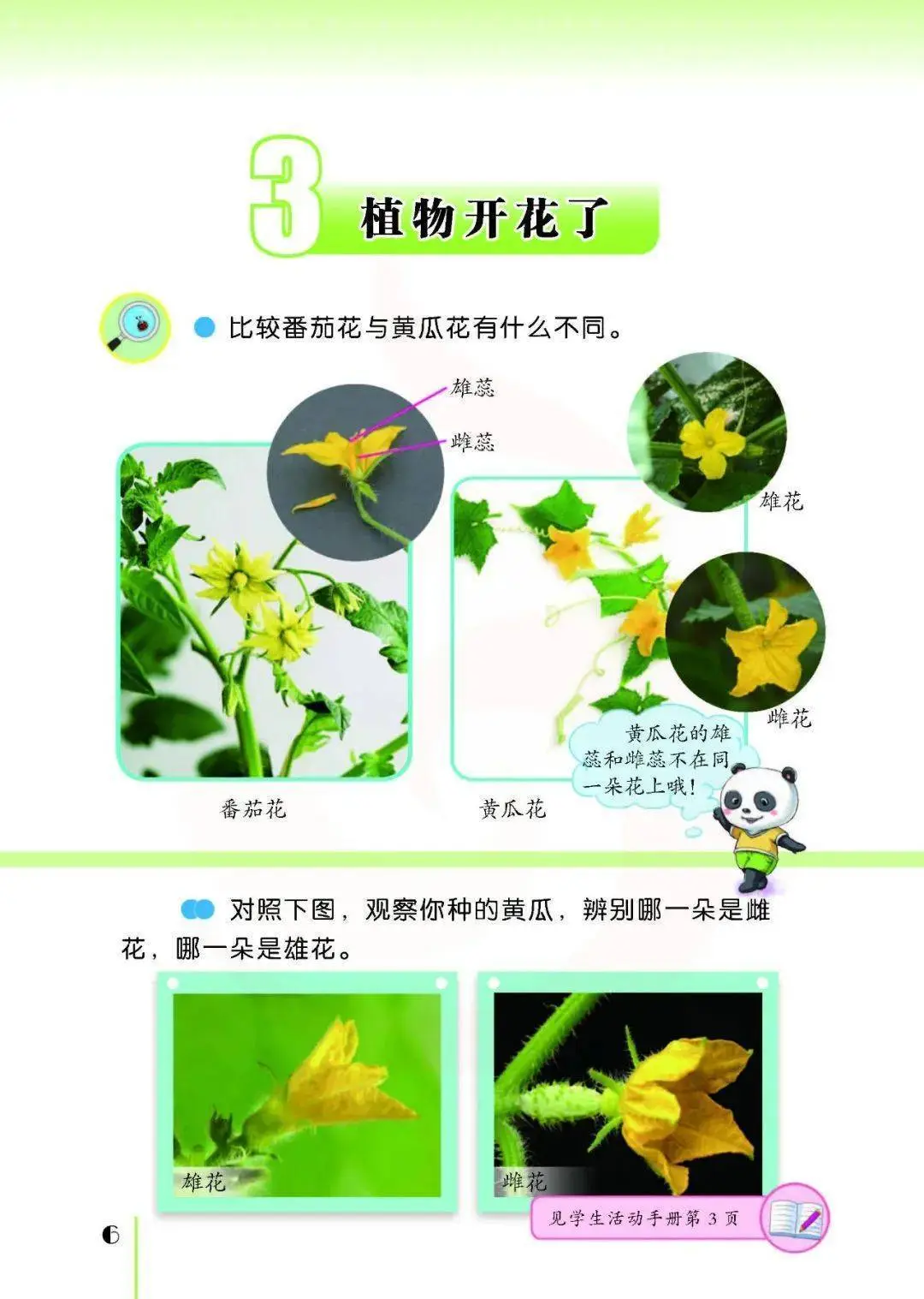 2026蘇教版五年級(jí)科學(xué)下冊(cè)電子課本(PDF高清版新教材)