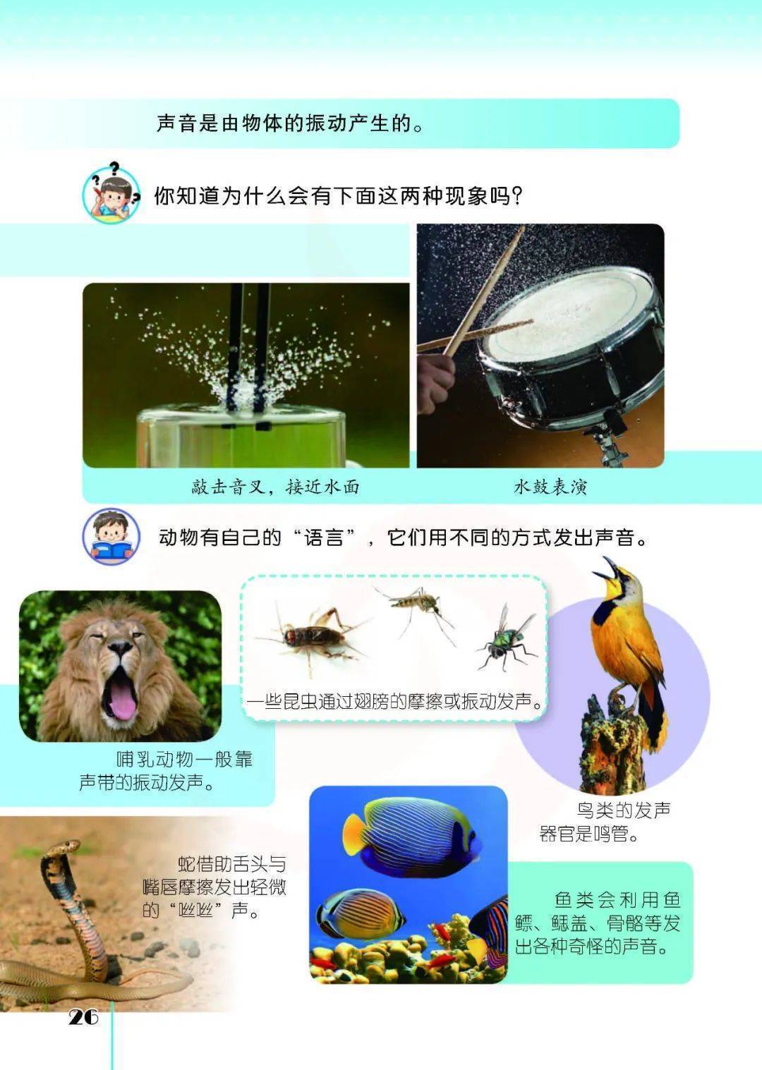 2026蘇教版五年級(jí)科學(xué)下冊(cè)電子課本(PDF高清版新教材)