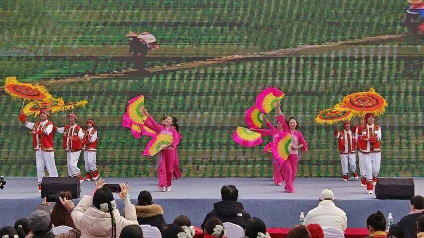 恭喜了！宜昌這些舞蹈隊(duì)，獲獎(jiǎng)！