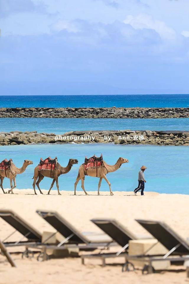 【巴厘島】：“獅王”出手，引爆“王炸美食酒店”！性價比極高！