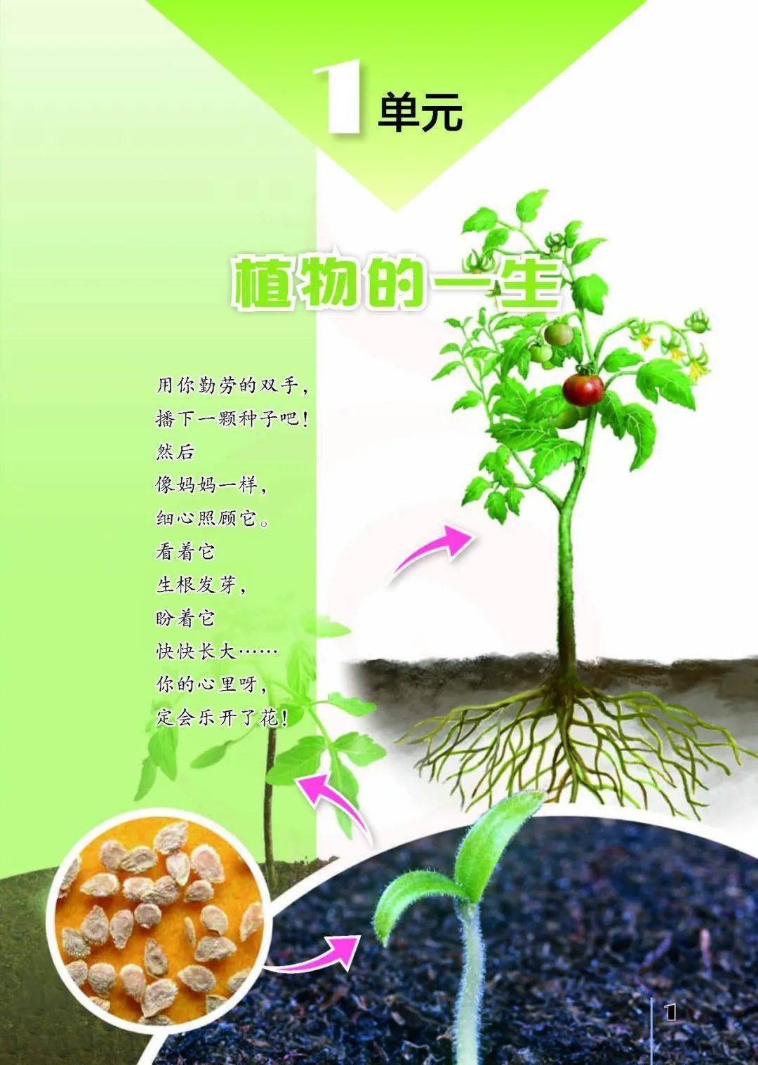 2026蘇教版五年級(jí)科學(xué)下冊(cè)電子課本(PDF高清版新教材)