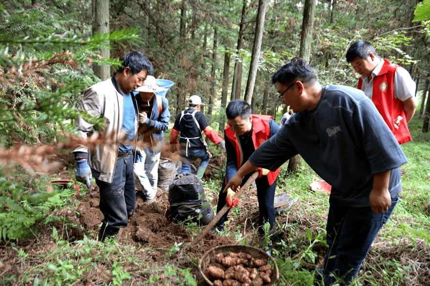 赫章：“紅綠相映 四輪驅(qū)動”讓黨員教育活起來實起來
