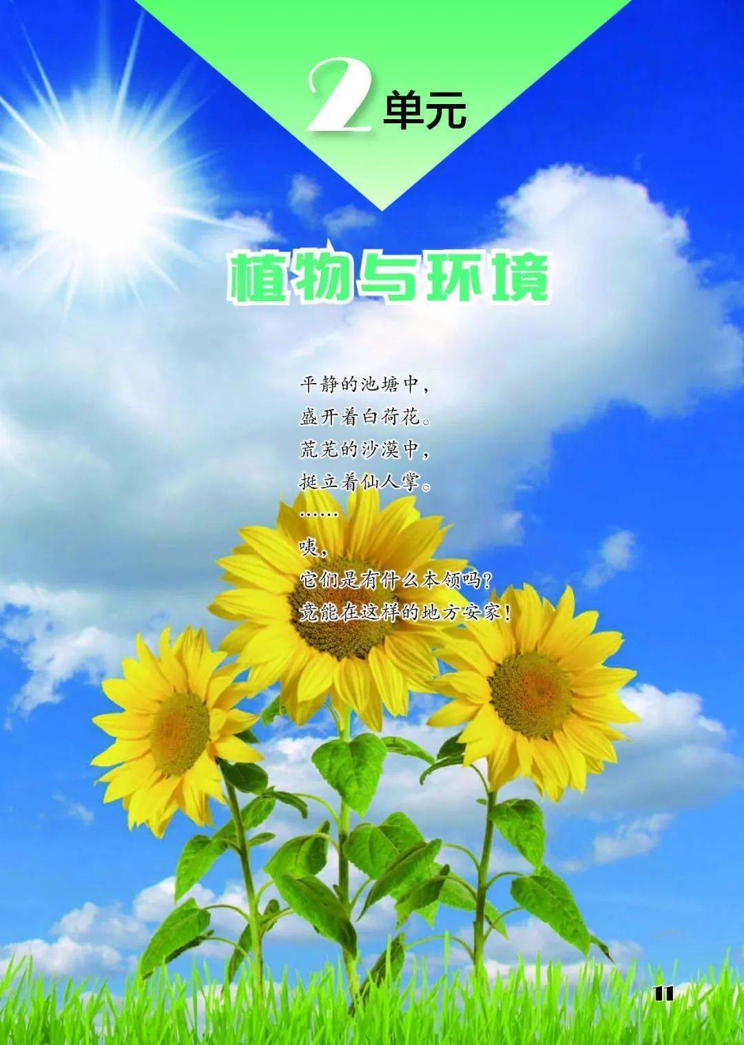 2026蘇教版五年級(jí)科學(xué)下冊(cè)電子課本(PDF高清版新教材)