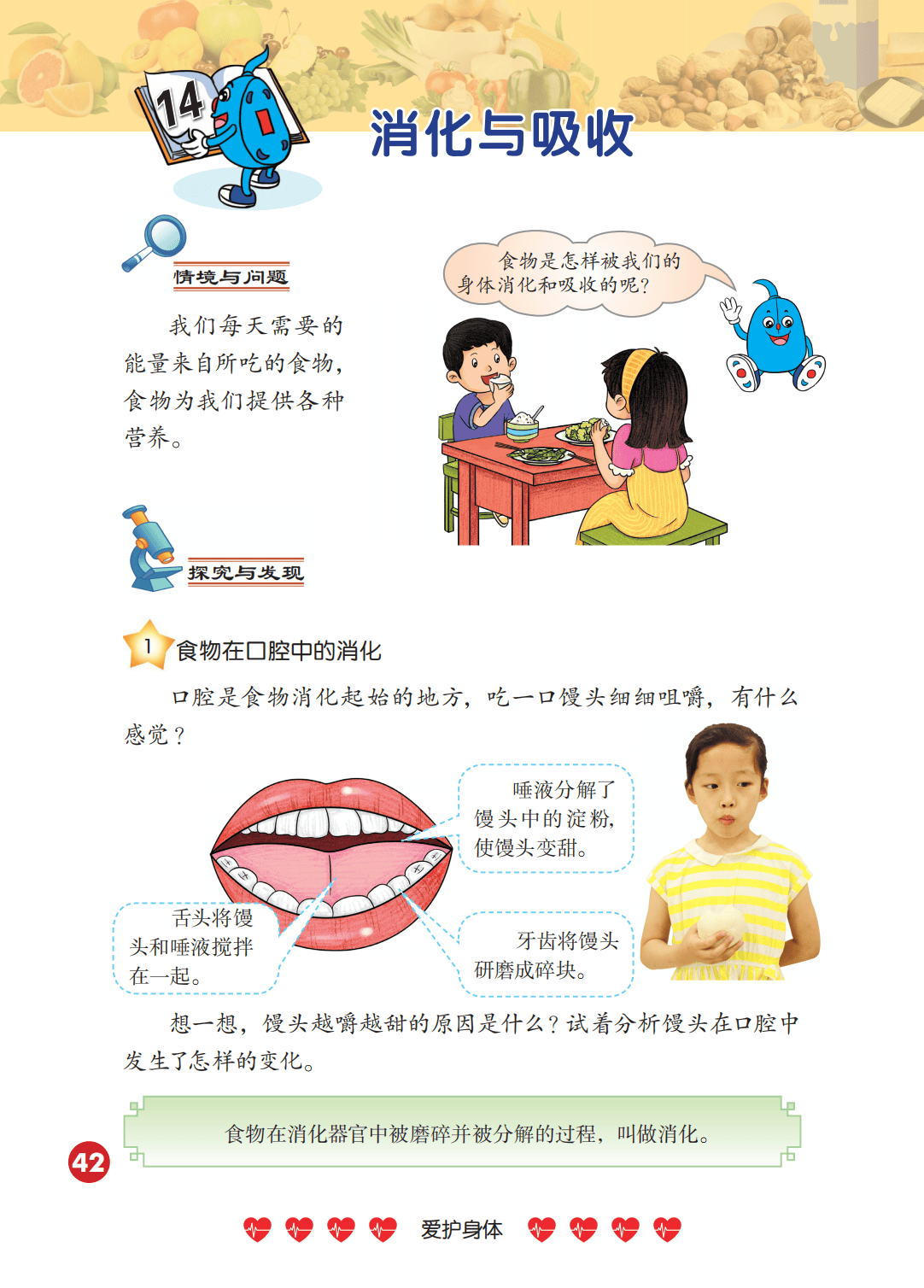 2026冀人版四年級(jí)科學(xué)下冊(cè)電子課本(PDF高清版新教材)