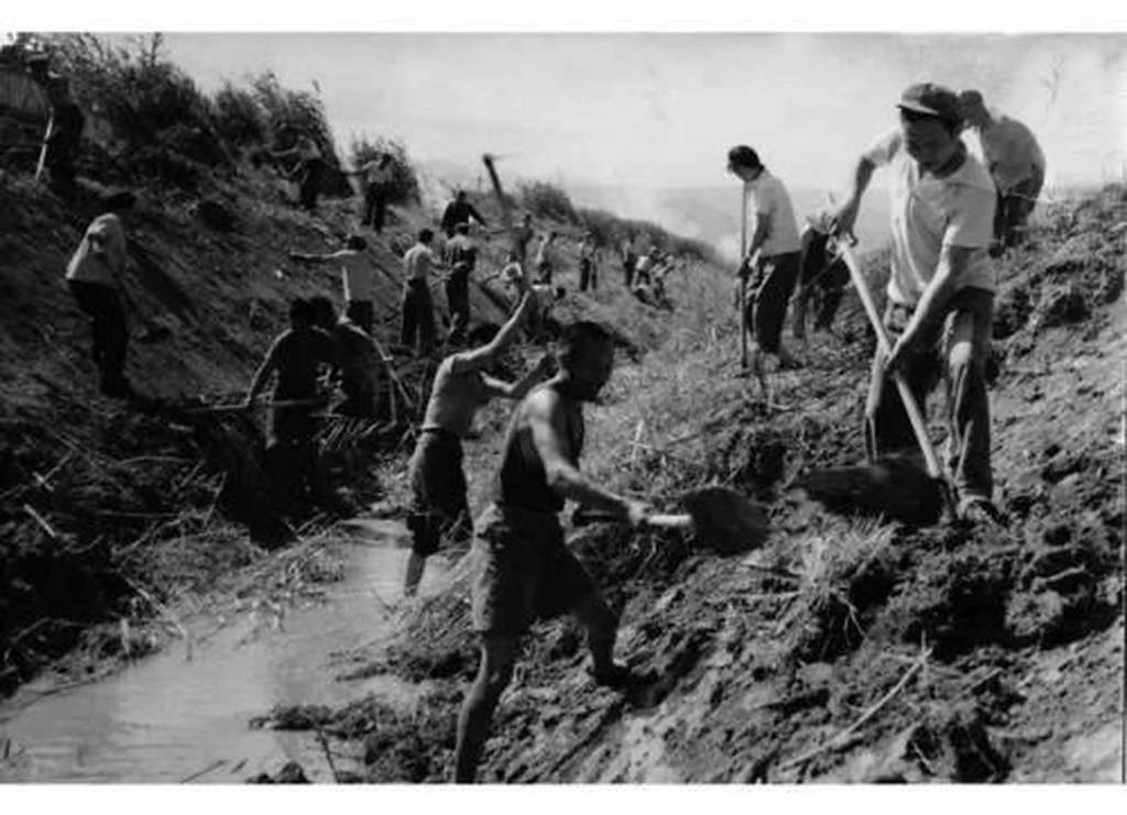 大學(xué)生寫家史︱一家一世界，一日一百年